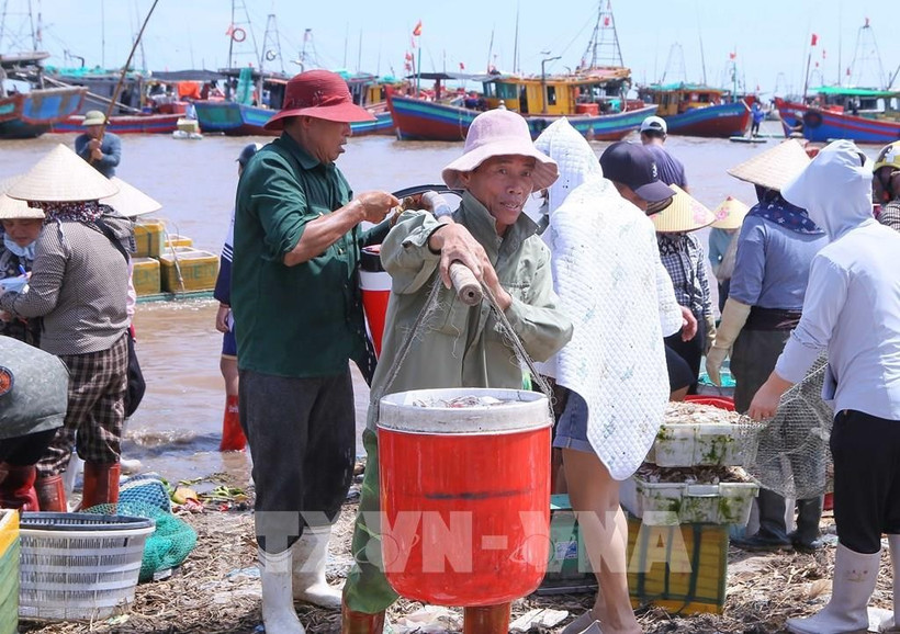 La norteña provincia vietnamita de Ninh Binh intensifica sus esfuerzos para implementar las directivas del Gobierno sobre la lucha contra la pesca ilegal (Fuente: VNA)