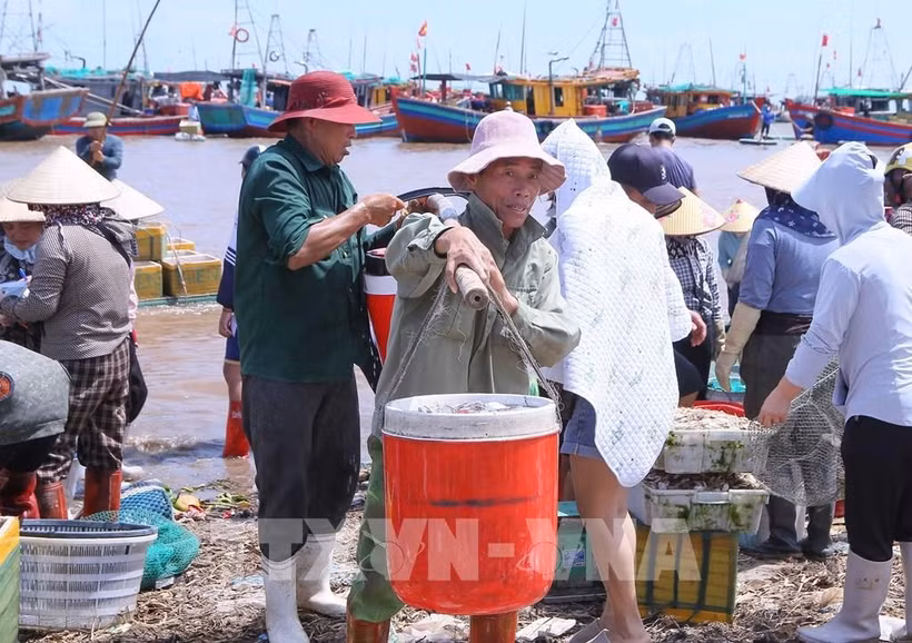 La norteña provincia vietnamita de Ninh Binh intensifica sus esfuerzos para implementar las directivas del Gobierno sobre la lucha contra la pesca ilegal (Fuente: VNA)