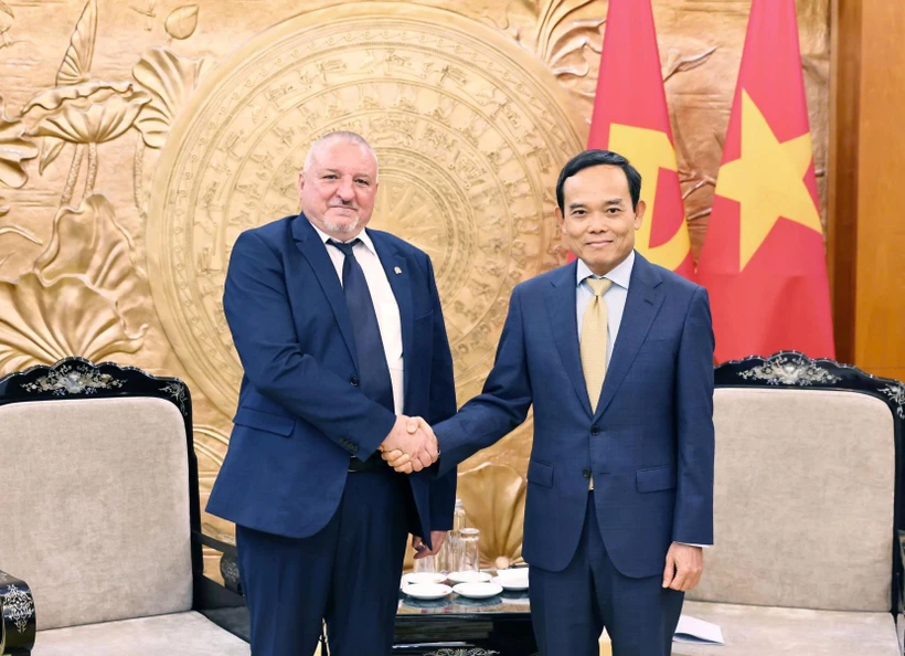 Tran Luu Quang (derecha), secretario del Comité Central del Partido Comunista de Vietnam y jefe de su Comisión de Políticas y Estrategias , y el presidente de MSZP, Komjáthi Imre (Fuente: VNA)