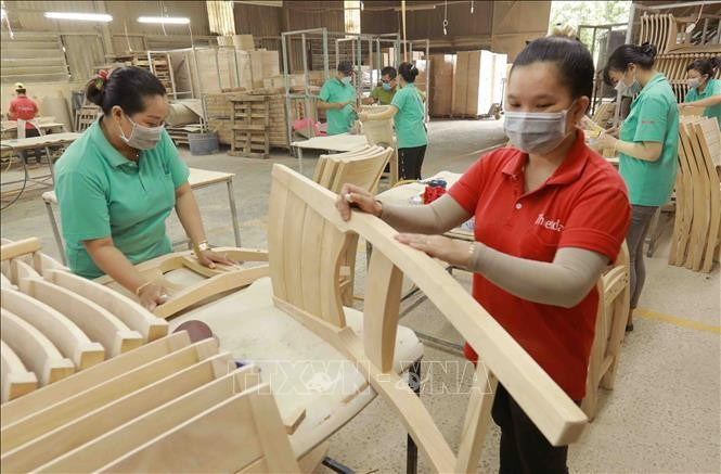 Producción de muebles de madera para exportación (Fuente: VNA)