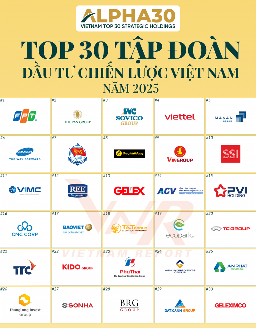 La compañía Vietnam Report presentó oficialmente el primer ranking ALPHA30 (Fuente: VNA)