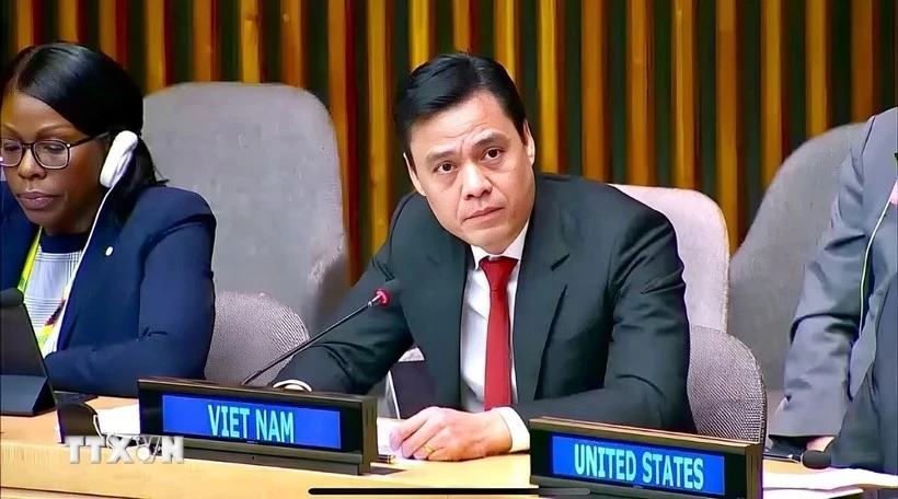 El embajador Dang Hoang Giang, jefe de la misión permanente de Vietnam ante la Organización de las Naciones Unidas (ONU) (Fuente: VNA)