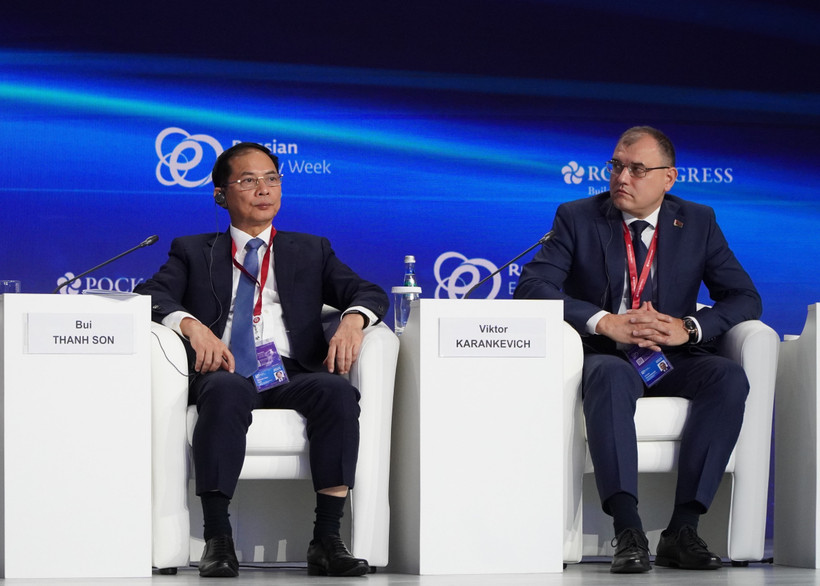El viceprimer ministro de Vietnam, Bui Thanh Son (izquierda) en la cita (Fuente: VNA)
