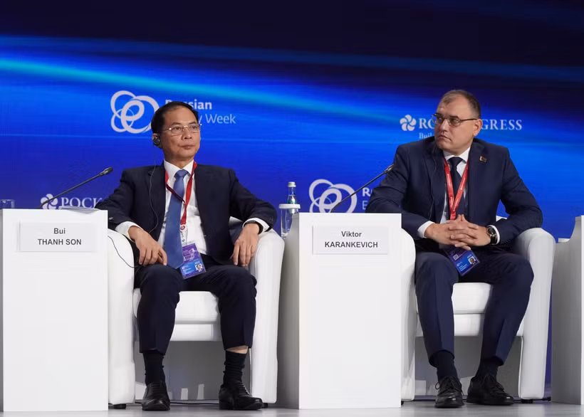 El viceprimer ministro de Vietnam, Bui Thanh Son (izquierda) en la cita (Fuente: VNA)