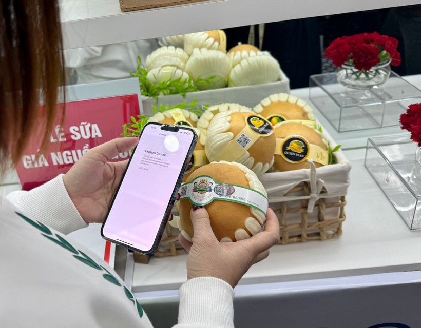 Foto ilustrada (Fuente: VNA)