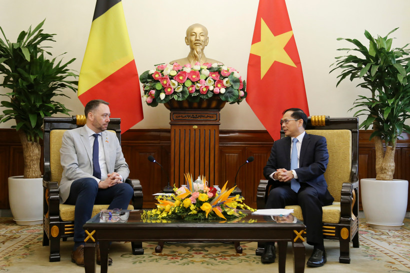 El vicepremier y canciller de Vietnam, Bui Thanh Son (derecha), se reúne con el vicepremier y ministro de Asuntos Exteriores, Asuntos Europeos y Cooperación al Desarrollo de Bélgica, Maxime Prevot (Fuente: VNA)