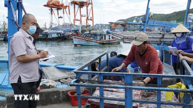 Las autoridades supervisan el proceso de llegada del pescado al puerto. (Foto: VNA)
