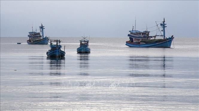 Barcos pesqueros anclados en las aguas de la Zona Económica Especial de Phu Quoc, provincia de An Giang (Foto: VNA)
