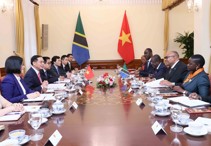 Durante la reunión entre el vicepremier y canciller vietnamita Bui Thanh Son y el ministro de Asuntos Exteriores y Cooperación de África Oriental de Tanzania, Mahmoud Thabit Kombo (Fuente: VNA)