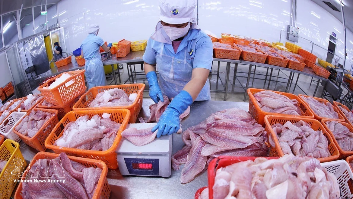 Navico, gigante vietnamita en la producción y exportación de pangasius 