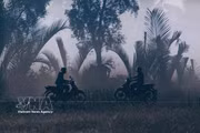 Ciudad de Can Tho deslumbra con escenas rurales de ensueño