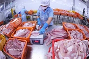 Navico, gigante vietnamita en la producción y exportación de pangasius 