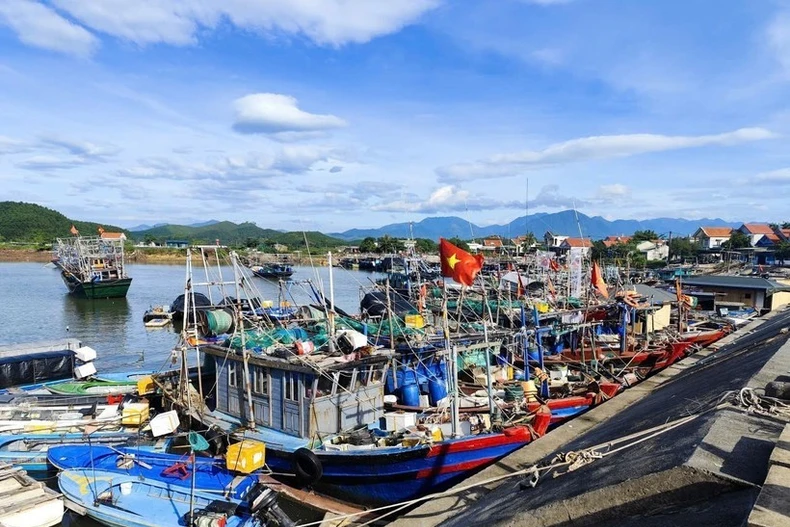 Provincia de Quang Ninh avanza en la lucha contra la pesca ilegal (Foto: VNA)