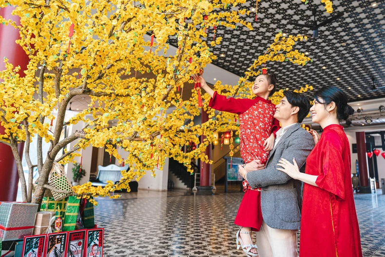 Da Nang prepara festival multitudinario para recibir 2026. (Foto: VNA)