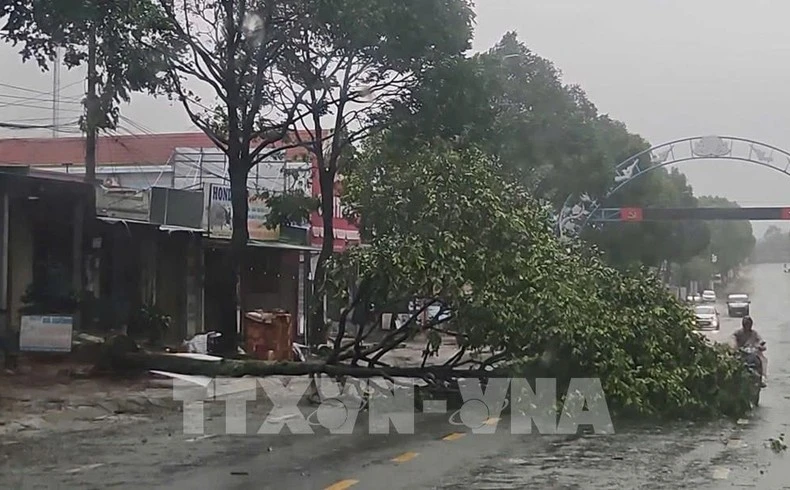 Tifón Kalmaegi deja 5 muertos y daños en Vietnam