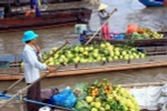 Vietnam aboga por optimizar recursos para el desarrollo del delta de Mekong