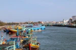Comisión Europea reconoce esfuerzos de Vietnam contra pesca ilegal