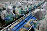 Comisión Europea volverá a examinar esfuerzos de Vietnam contra pesca ilegal en 2019 