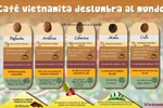 Café vietnamita deslumbra al mundo