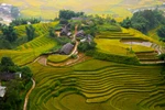 (Televisión) Atractivo ecoturismo en distrito montañoso de Sapa en Vietnam 