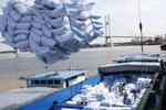 Exportaciones de arroz de Vietnam aumentan casi un 11 por ciento 