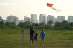 (Video) Papalotes vuelan en el cielo de Hanoi 