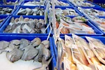 (Televisión) Vietnam, cuarto mayor exportador de productos acuícolas