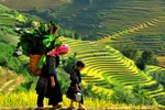 (Televisión) Promueven en Vietnam el turismo comunitario