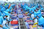 Ventas del sector agroforestal y acuícola de Vietnam alcanzan casi 20 mil millones de dólares en 2019