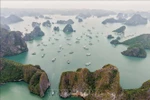 Bahía de Ha Long (Fuente: VNA)