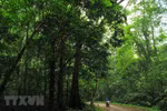 Cuc Phuong premiado por quinta vez como el parque nacional líder de Asia 