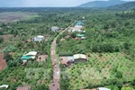 El tramo de la autopista Khanh Hoa - Buon Ma Thuot que pasa por la comuna de Ea Kenh, distrito de Krong Pac, provincia de Dak Lak, ha sido marcado para su limpieza de terreno. (Fuente: VNA)