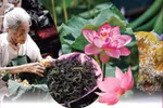 El oficio de elaborar té con aroma de loto Quang An 