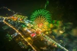 Celebran por primera vez espectáculo de pirotecnia y vídeo mapping en Tay Ninh
