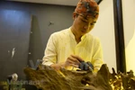 Artista vietnamita dedicado a las esculturas de sombras