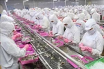 Aumenta superávit comercial de agricultura, silvicultura y acuicultura de Vietnam