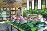 Empresa vietnamita presenta productos de flor de loto