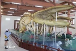 Dos esqueletos de ballena más grandes de Vietnam en isla Ly Son