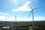 Desarrollo de economía verde es esencial para empresas vietnamitas