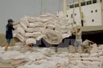 Vietnam figura entre cinco mayores productores de arroz en 2017 