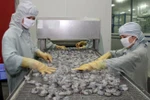 Asia será mercado emergente de consumo de camarones de Vietnam