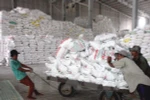 Precio de exportación para el arroz de Vietnam alcanza su nivel máximo de último tres años