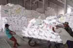 Precio de exportación para el arroz de Vietnam alcanza su nivel máximo de último tres años