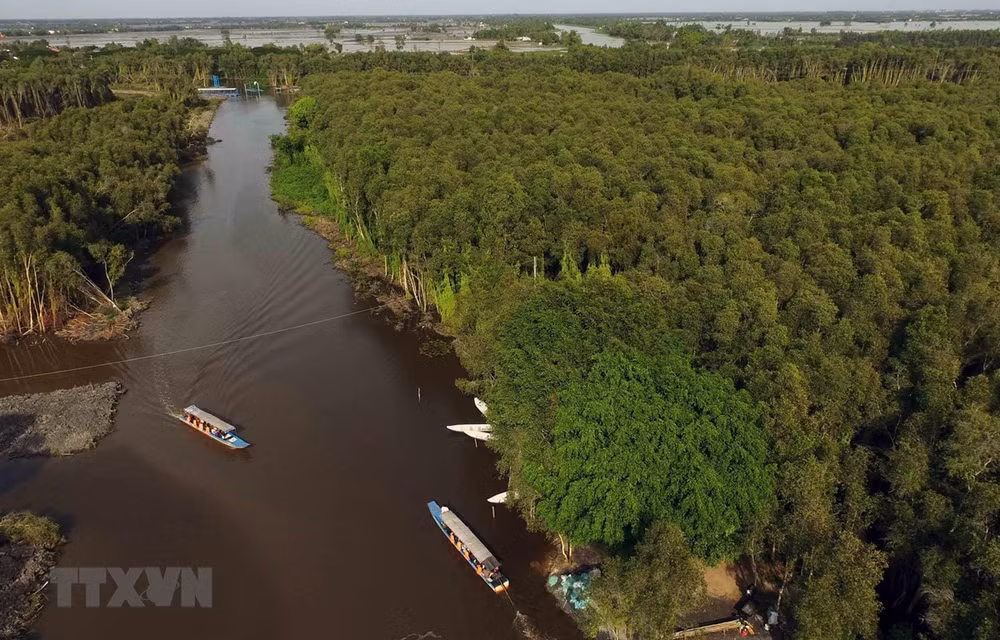 Pueblo flotante de Tan Lap, atractivo destino en provincia vietnamita de Long An ảnh 1 Pueblo flotante de Tan Lap, atractivo destino en provincia vietnamita de Long An ảnh 1