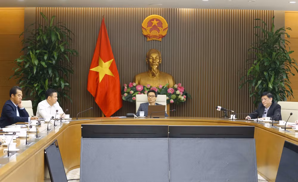 Lucha de Vietnam contra el COVID-19: Retrospectiva y soluciones venideras ảnh 8