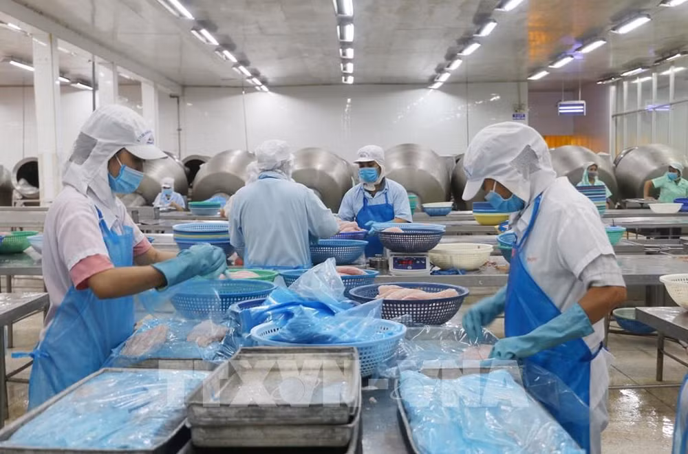 Provincia de An Giang apunta a 5,3 mil millones de dólares en exportaciones en 2025 ảnh 1
