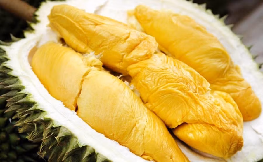 Vietnam espera exportar este año durian al mercado chino ảnh 1