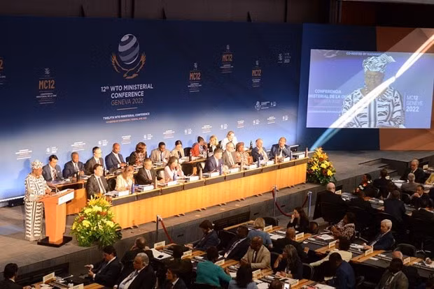 Vietnam dispuesto a cooperar con la OMC en mantenimiento y consolidación del sistema multilateral de comercio ảnh 2 Vietnam dispuesto a cooperar con la OMC en mantenimiento y consolidación del sistema multilateral de comercio ảnh 2