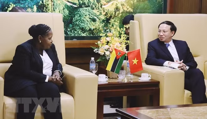 Mozambique busca promover cooperación con provincia vietnamita de Quang Ninh ảnh 1