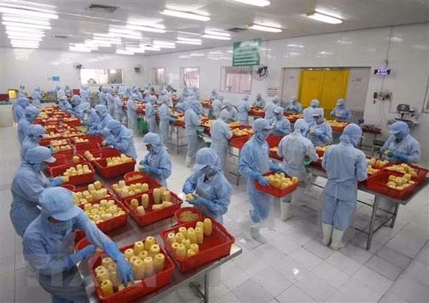Acuerdo EVFTA brinda contribuciones al intercambio comercial Vietnam-Hungría ảnh 1